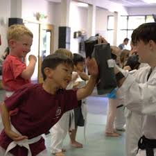 Image result for Thames Valley Karate