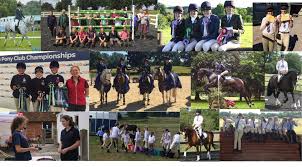 Image result for Chiddingfold Branch Of The Pony Club