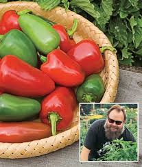 Afbeeldingsresultaat voor biker billy jalapeno hot pepper