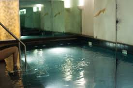 Image result for South London Swimming Club