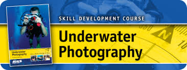 Image result for Guildford Bsac