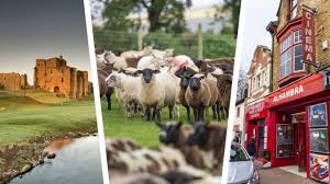 Image result for Bravo 4 Zero, Penrith, Cumbria