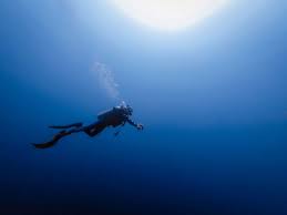 Image result for Blue Water Diving