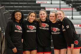 Image result for Elmbridge Girls Basketball Club