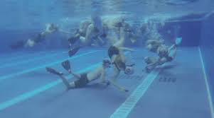 Image result for Nottingham Octopush Club