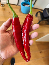 Afbeeldingsresultaat voor Szegedi 80 hot pepper