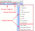 FastStone Screen Capture - The Best Screen Capture Software