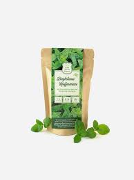 Image result for Pfefferminze