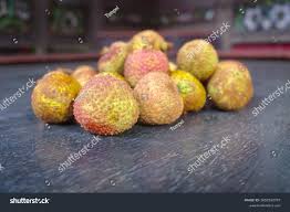 Image result for Litchi chinensis