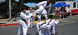 Image result for Torbay Taekwondo Schools
