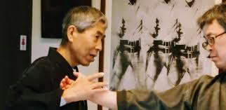 Image result for Bujinkan Dojo Seijitsu