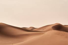 Image result for Elmbridge Eagles Rugby League Club