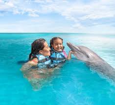 Image result for Dolphins Sheltered & Disabled Swim Club