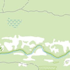 Attēlu rezultāti vaicājumam “Magdalis sp.”