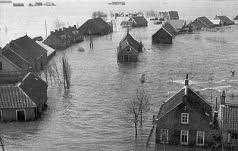 Image result for zeeland 1953