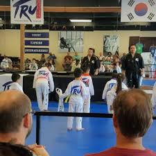 Image result for North Wilts Taekwondo