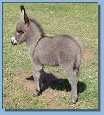 [Resim: images?q=tbn:ANd9GcRpXeQonpL3dyffS1xYuRb...E-VQZgcfNA]