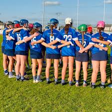 Image result for Erin`s Own Gaelic Athletic & Social Club