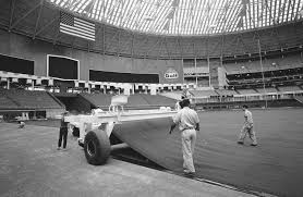 Image result for Astroturf