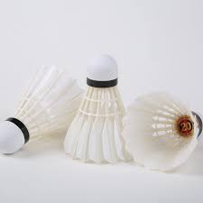 Image result for Shuttlecocks Badminton Club