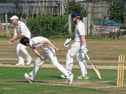 Image result for Chichester Priory Park Cc