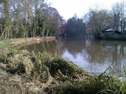Image result for Weybridge Angling