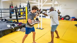 Image result for Revolution Dojo