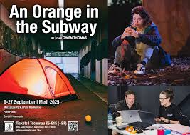 Image result for Seren Dwr