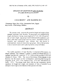 Image result for Liza ramada