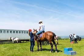 Image result for South Weylands Equestrian