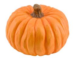 Image result for Kürbis