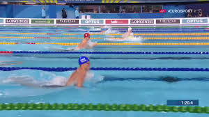 Image result for Gosport Dolphins Swimming Club