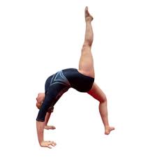 Image result for Torbay Olympic Gymnastics Club