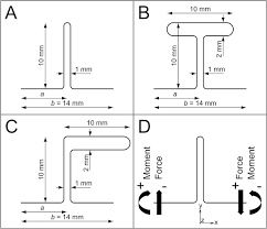 Image result for the end of the t-loop structure