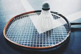 Image result for Doncaster Badminton