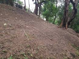 Image result for Woodmancote SMBC