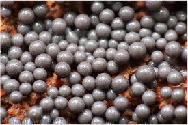 Attēlu rezultāti vaicājumam “Cribraria argillacea macro”