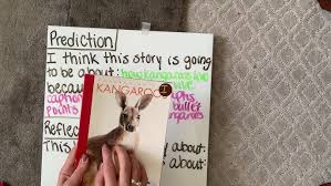 Image result for Reading Kangaroos