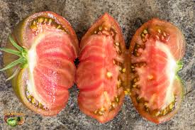 Afbeeldingsresultaat voor dark purple beefsteak tomato