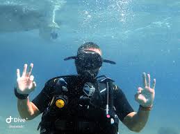 Image result for Exe To Sea Diving