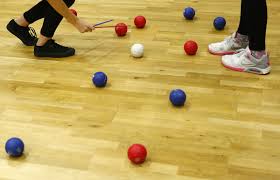 Image result for North Wales Boccia