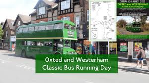 Image result for Oxted Runners