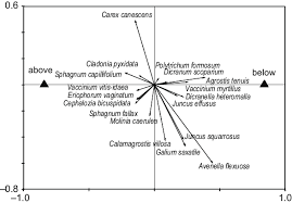 Attēlu rezultāti vaicājumam “Dicranella cerviculata”