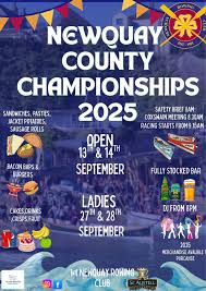 Image result for Zennor Gig Club (Penzance)