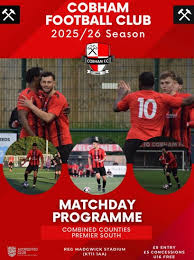 Image result for Cobham Sports Association Ltd