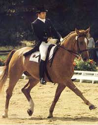 Image result for Uwe Riding Club