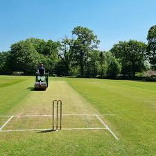 Image result for Flamingo Cricket Club