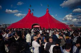 Image result for noma mad