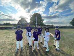 Image result for Kirkburton Cricket Sports & Social Club