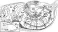Hippocampus - Wikipedia, the free encyclopedia